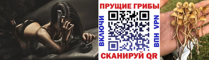 MEGA   Ступино  Галлюциногенные грибы MAGIC MUSHROOMS  купить наркотик 